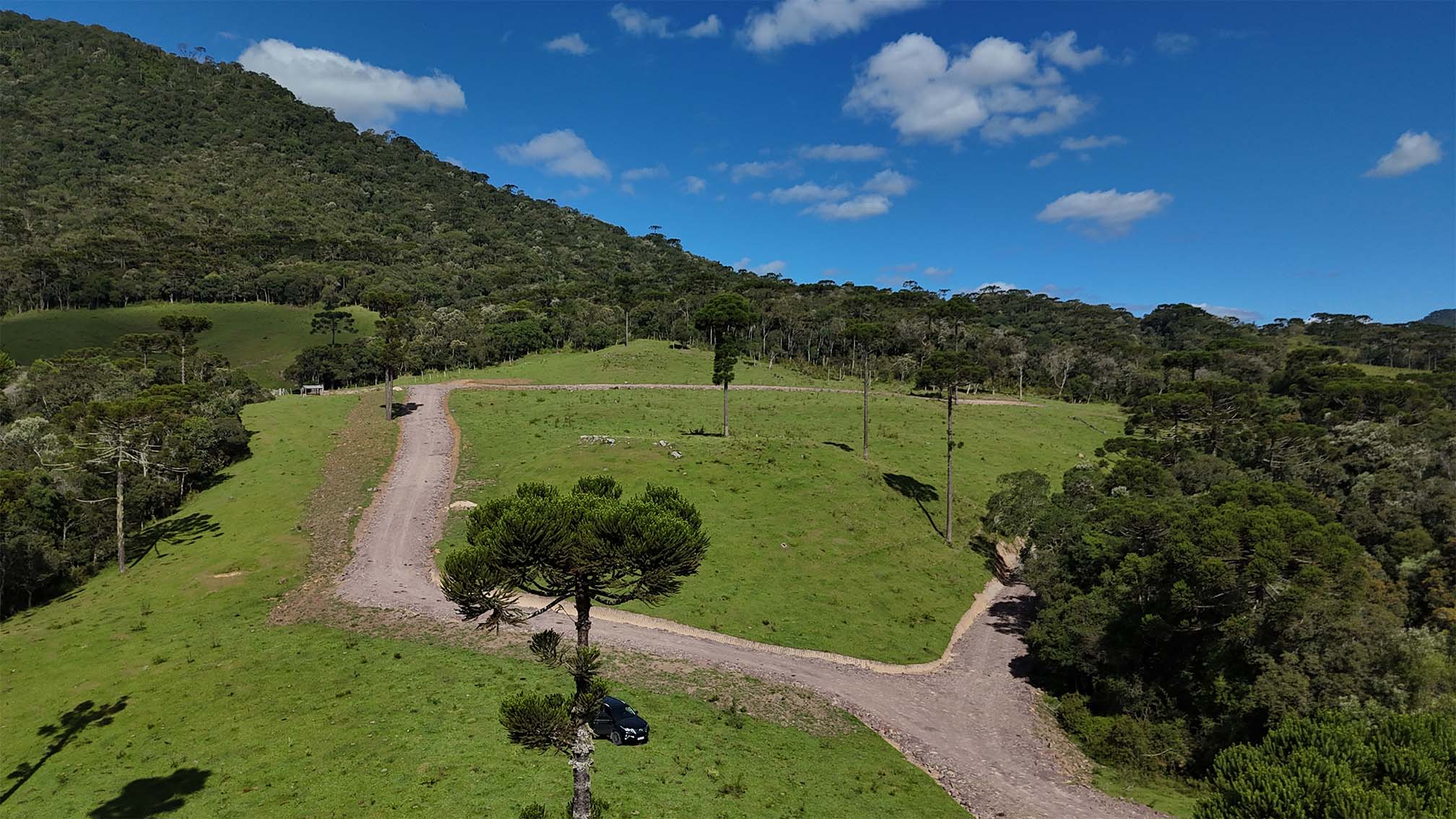 imagens-terreno_0002_DJI_20250304152017_0025_D.jpg