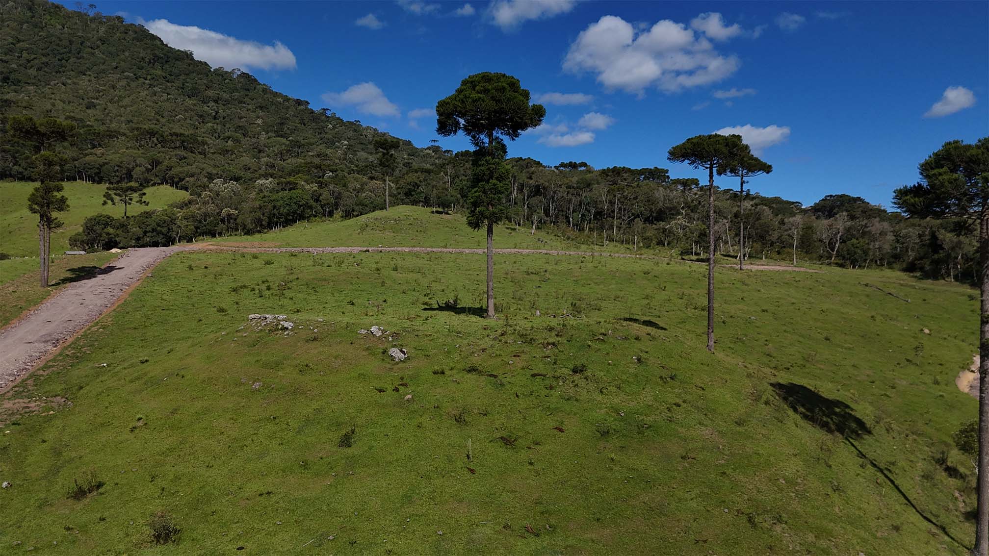 imagens-terreno_0003_DJI_20250304152004_0024_D.jpg