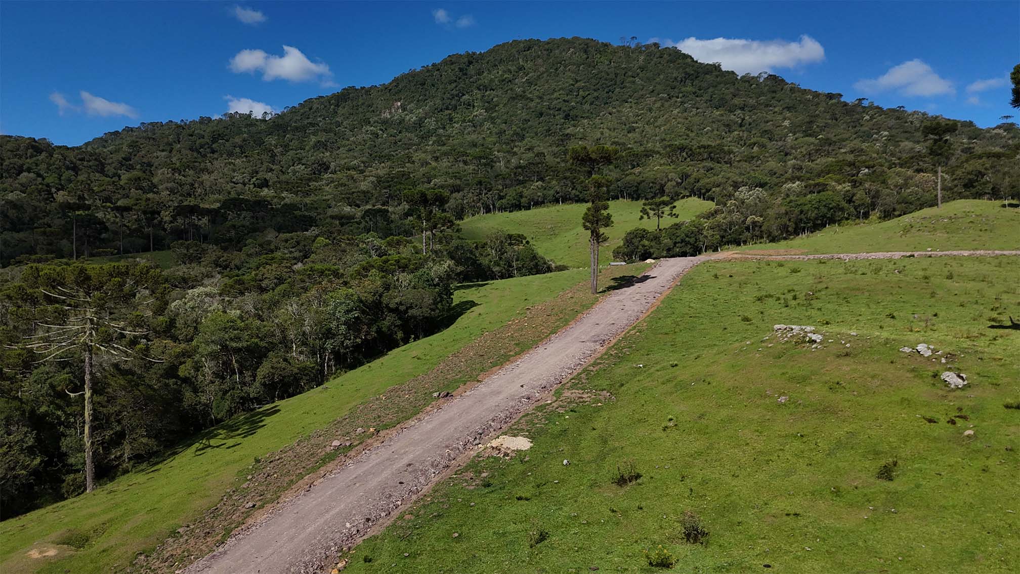 imagens-terreno_0004_DJI_20250304152000_0023_D.jpg