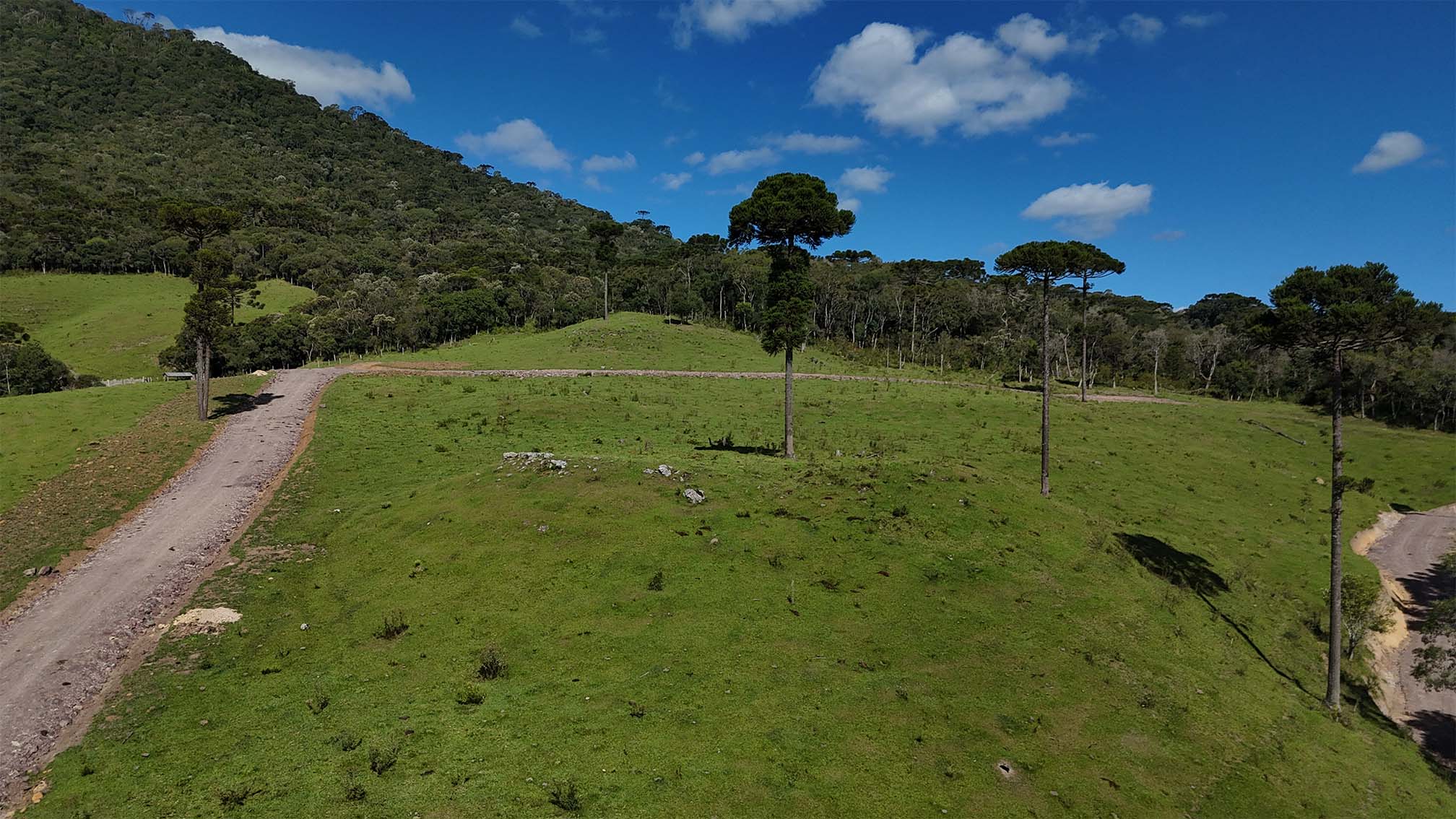 imagens-terreno_0005_DJI_20250304151944_0022_D.jpg