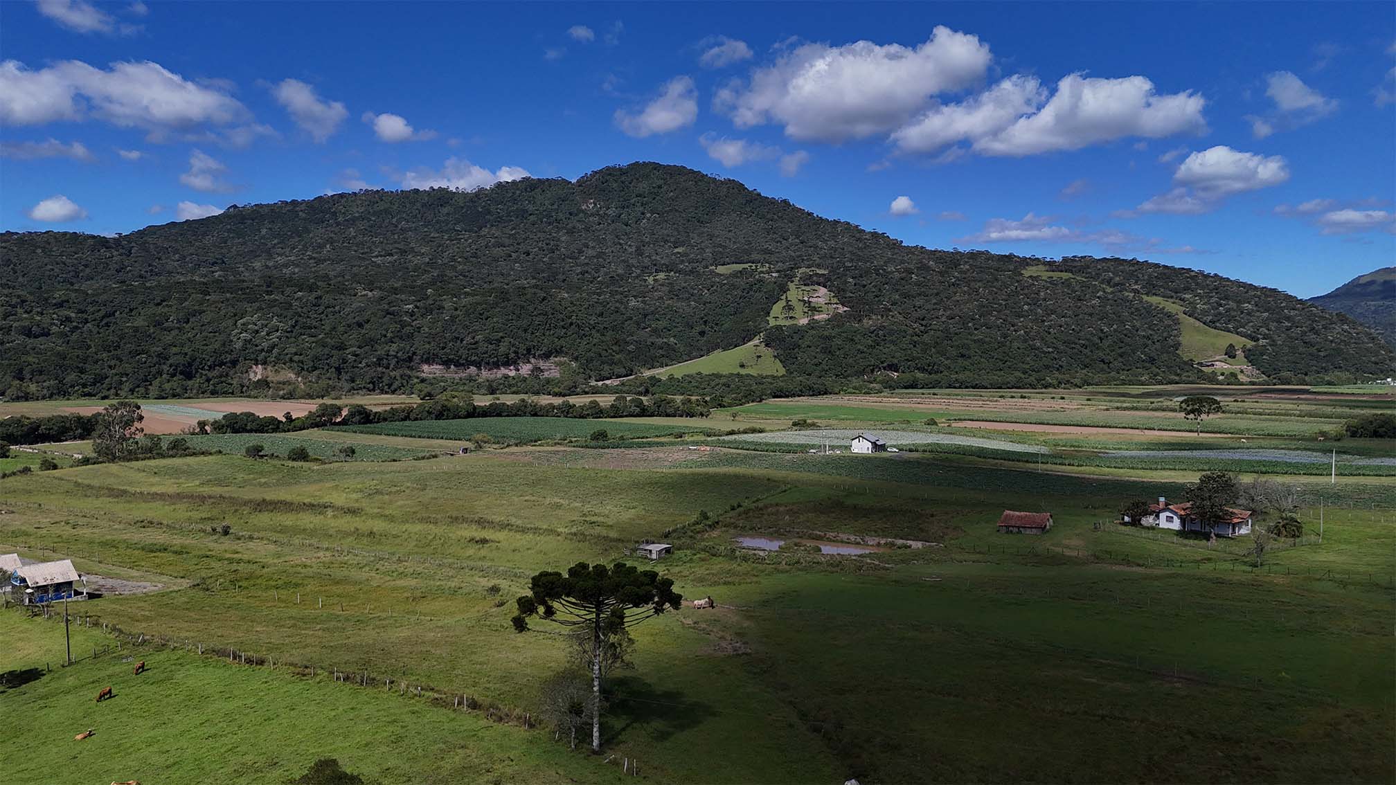 imagens-terreno_0007_DJI_20250304150117_0020_D.jpg