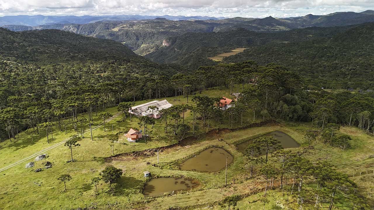 222222_0000_DJI_20250514140659_0070_D