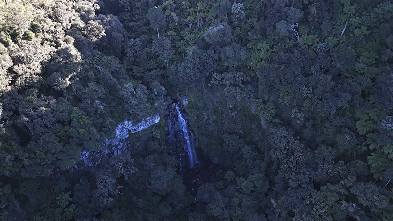 222222_0002_DJI_20250428162951_0101_D
