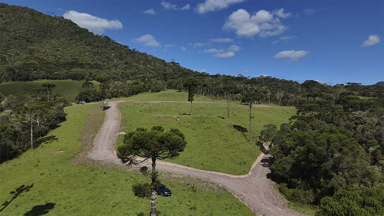 222222_0010_Cópia de DJI_20250304152017_0025_D